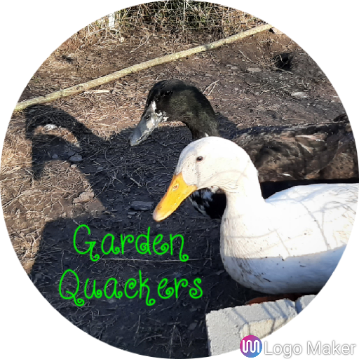 Garden Quackers Logo