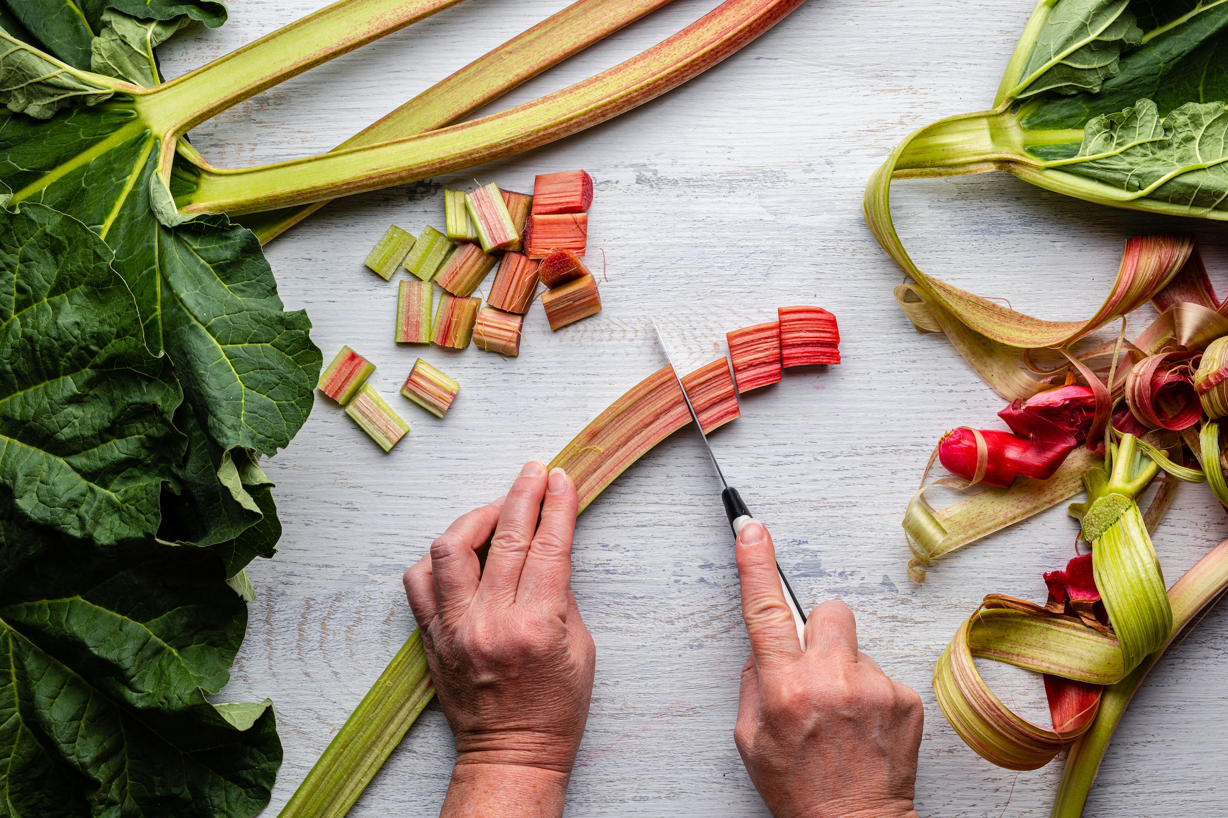 Get Your Rhubarb at Opening Farmers' Market Weekend / May 5, 2022