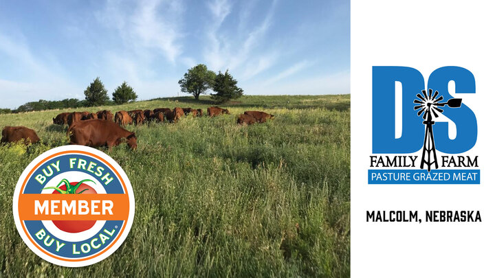 DS Family Farm Spotlight photo featuring their cattle grazing