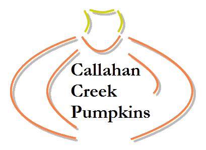 Callahan Creek Pumpkins Photo