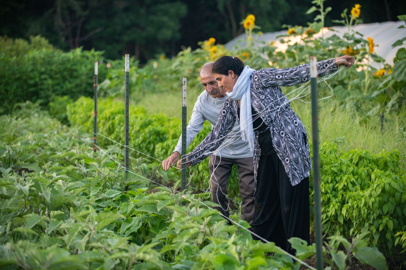 Community Crops Photo