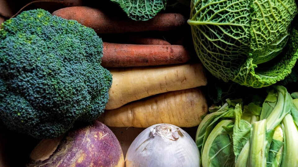 photo of fresh broccoli, cabbage, turnips, onions, and carrots