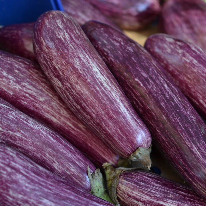 Eggplants