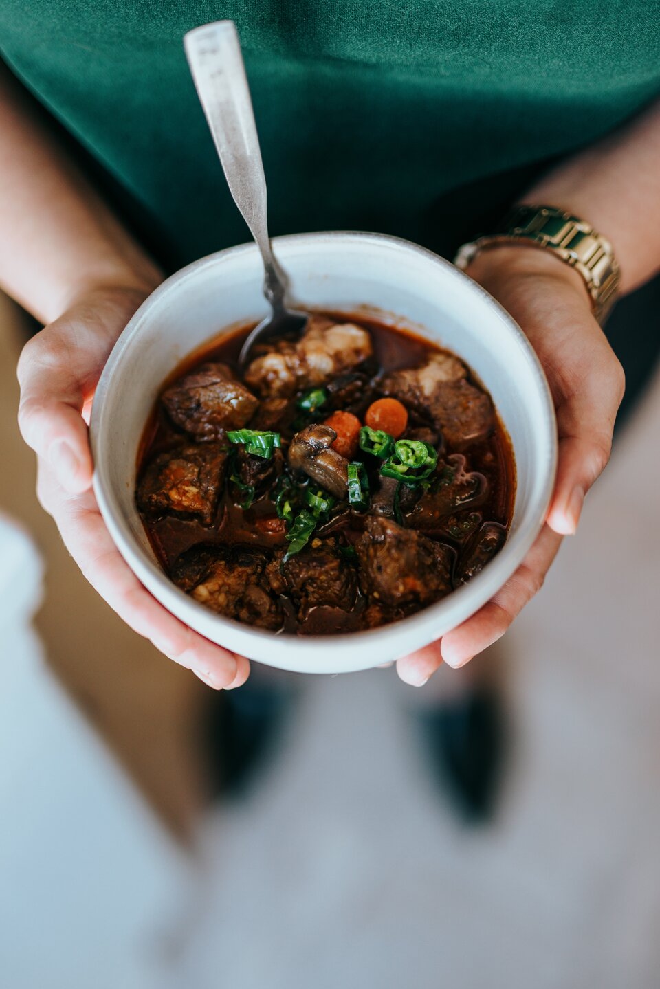 bison stew